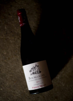 Domaine Perrot‐Minot  Bourgogne Graviéles Des Chaponniéres　2019