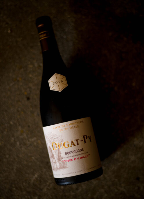 Domaine Dugat-Py  Bourgogne “cuvée halinard” 　 2019