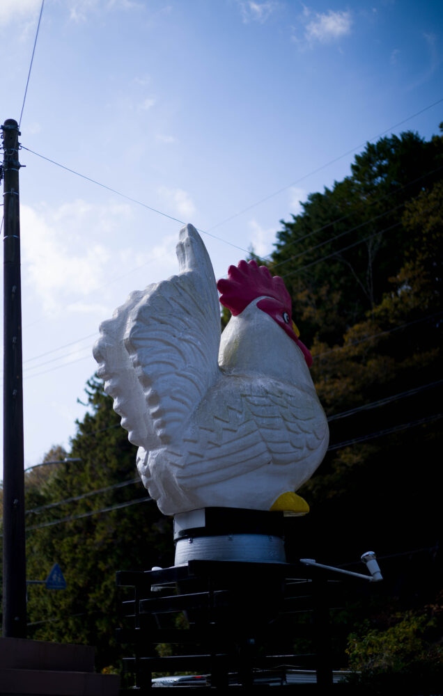 花の木　愛知県豊田市富岡町花ノ木1　鶏料理専門　最強旨し　大人気　鶏　新　　　 　　　シンプル　極み　癒し　テイクアウト　充実　安い　コスパ　旨紅葉　香嵐渓 　　　ユーノスロードスター　NA　マリナブルー　レストア　アイスアイリイグ　浜松 　　　しいたけ　栽培　設樂　唯一無二　花の木　愛知県豊田市富岡町花ノ木1　　 鶏料理専門　最強旨し　大人気　鶏　新鮮　愛知代表　予約　マスト 　　　シンプル　極み　癒し　テイクアウト　充実　安い　コスパ　旨 株式会社富屋酒店　TOMIYA　SAKETEN　NAGOYA　ｶﾌﾞｼｷｶｲｼｬﾄﾐﾔｻｹﾃﾝ　 愛知県名古屋市瑞穂区上坂町1-41-2　特約店　特約流通　地酒　ワイン　専門店 代表取締役　上田豊二　おたく　マニア