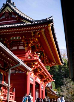 TURUOKAHACHIMANGU　鶴岡八幡宮