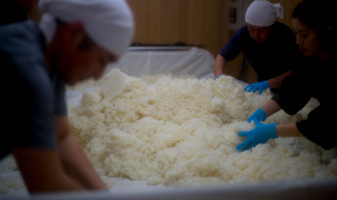 菊の里酒造　大那　ダイナ　だいな　チョーダイナ　CHO－DAINA！
超大那　袋吊り　大吟醸　スペック　全国鑑評会出品酒用酒　吉川山田錦
よかわやまだにしき　ヨカワヤマダニシキ　特A　特等米　東条産山田錦
とうじょうさんやまだにしき　トウジョウサンヤマダニシキ　ちょうだいな
全国鑑評会出品酒用500ｍｌサイズ　黄色　瓶　非売品　希少　レア
栃木県大田原市片府田302-2　社長　阿久津信　初しぼり　無濾過生原酒
那須産五百万石　吟のさと　那須クリーン農業研究会　有本　契約栽培農家
大いなる那須の大地　軟水　那須山系伏流水　蛍　ひとごこち　初しぼり
DAINA　スパークリング　那須産ひとごこち　協会14号酵母　1500本限定
株式会社　富屋酒店　名古屋市瑞穂区上坂町1-41-2　老舗　専門店　
トミヤオリジナル　トミヤデザイン　唯一無二　社長　上田豊二　
TOMIYA　ORIGINAL　TOMIYA　SAKETEN　NAGOYA　AICHI
トミヤサケテン　とみやさけてん　なごや　みずほく　かみさかちょう
特約店　特約流通品　希少品　手造り　こだわり　日本唯一富屋作品
（株）富屋酒店　愛知県名古屋市瑞穂区上坂町1-41-2　地酒屋　専門店　
おたく　マニア　ライカM11　ズミルックス50　レンズ　堀田駅　熱田神宮駅
名古屋高速　堀田出口すぐ　牛巻交差点すぐ　レトロ街並み　瓦屋根
