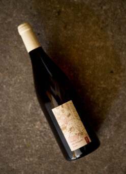 アズッカ エ アズッコ azucca e azucco トルタ アッレ フラーゴレ ロゼ 2022【SOLD OUT】