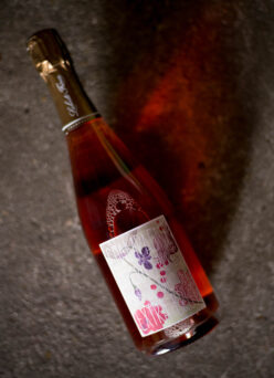 CHAMPAGNE  CHAMPAGNE  LAHERTE FRERES （シャンパーニュ  ラエルト・フレール）ROSE DE MEUNIER  EXTRA BRUT（ロゼ・ド・ムニエ　エクストラ・ブリュット）