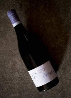 AGNÉS PAQUET（アニエス・パケ） BOURGOGNE PINOT NOIR  2021（ブルゴーニュ・ピノノワール   2021ヴィンテージ）