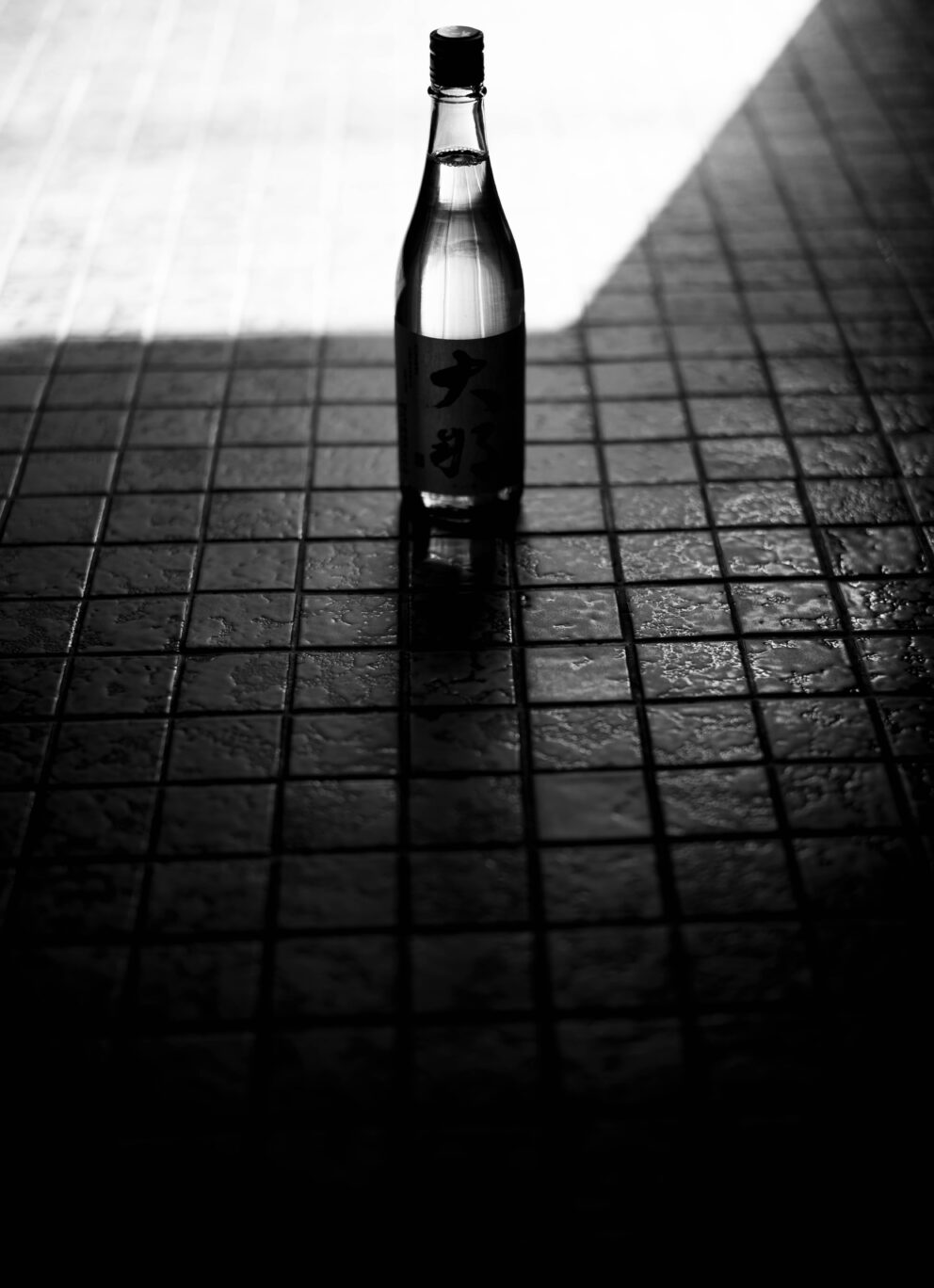 山田錦の旨さと飲みやすさの軽快さが真夏ののどごしを潤す  「大那　DAINA　特別純米13　＜低アルコール原酒　LOW ALCOHOL 13＞　【氷温壱年熟成】」ご予約開始いたします