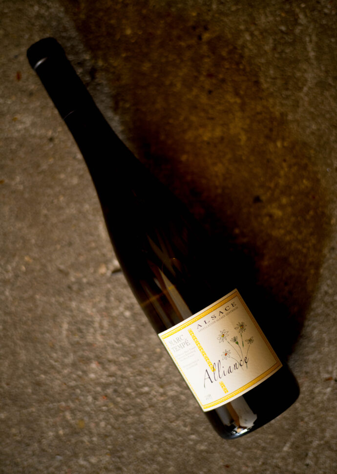 DOMAINE MARC TEMPÉ（ドメーヌ マルク・テンペ）GEWURZTRAMINER AMZELLE  2019（ゲヴェルツトラミネール  アムゼル  2019 ヴィンテージ）　DOMAINE MARC TEMPÉ（ドメーヌ マルク・テンペ）RIESLING  AMZELLE  2019（リースリング アムゼル  2019ヴィンテージ）DOMAINE MARC TEMPÉ（ドメーヌ マルク・テンペ）PINOT GRIS  RIMELSBERG  2018（ピノグリ  ラムルスベル  2018ヴィンテージ）DOMAINE MARC TEMPÉ（ドメーヌ マルク・テンペ）ANNE  2019（アンヌ   2019 ヴィンテージ）DOMAINE MARC TEMPÉ（ドメーヌ マルク・テンペ）ALLIANCE  2019（アリアンス  2019 ヴィンテージ）正規輸入元　ディオニー株式会社　DIONY　京都府伏見区奈良屋町408-1　2005年から国内で大人気！ジャポン大好きビオディナミの巨匠
ドメーヌ・マルクテンペはアルザスのな南部の中心、コルマールから7kmほど進んだ南西向きのツェレンベルグ村にあります。アルザスは南仏のペルピニャンの次に降雨量が少なく、乾燥した地域。南向きの夏の畑は「目玉焼きが焼けるほど」暑いため、ブドウもしっかりと糖度がのります。標高は225～260ⅿ、粘度石灰土壌をベースに、ヴォージュ山脈の花崗岩や黄色みを帯びた石灰の混じる多様な土壌は、さまざまなブドウ品種に適合し、ミネラルたっぷりなふくよかな味わいを生み出します。初夏、マルクの畑の土からなんともいえない深い土の香りが漂います。雑草も元気に生い茂り、ブドウの樹の根元には直径1cm弱のミミズの穴がボコボコ。そう彼の畑はビオディナミ。総面積8haの畑で、96年からビオディナミに取り組む彼は、化学肥料や農薬をいっさい使わず、芽かきによる収量制限や夏季剪定も行いません。ブドウの樹が自分の力でうまいこと育っていくのを助ける以外は何もしません。見れば樹には太ったエスカルゴ（かたつむり）も。除草剤や化学肥料を使った近くの畑と比べて生き物の数は雲泥の差。「おいしい畑はかたつむりも知ってるよ！」太陽の光を一杯に浴び糖度が充分にのったブドウは9月に選果しつつ手摘みで収穫。房、茎をつけたまま優しく5～6時間かけてプレスします。「テントウ虫が生きたまま出てこられるくらいやさしいプレスなんだよ」と彼は言います。地つきの天然酵母で仕込むマルクのワインからは明るく前向きな温かさを感じます。
（株）富屋酒店　愛知県名古屋市瑞穂区上坂町1-41-2　地酒屋　専門店　ライカM11　ズミルックス50　レンズ　代表　上田豊二　きき酒師　焼酎アドバイザー　
シャンパーニュシュヴァリエ　堀田駅　熱田神宮駅
名古屋高速　堀田出口すぐ　牛巻交差点すぐ　レトロ街並み　瓦屋根
　　　クラッシックカー　クラッシックバイク　インテリア　ファッション　音楽
センス　クリエイト　おたく　マニア　映画　シネマ
