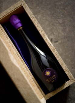 CHAMPAGNE MARGUET（シャンパーニュ マルゲ） SAPIENCE  OENOTHEQUE  2009（サピエンス  エノテーク  2009ヴィンテージ）【SOLD OUT】