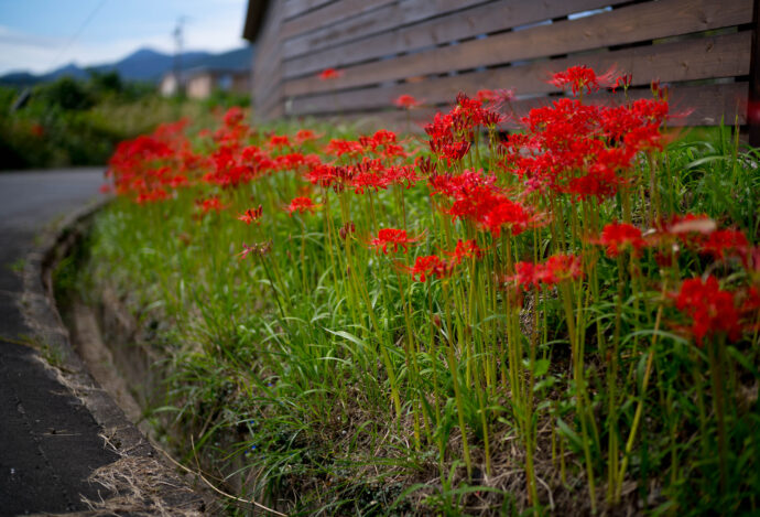 BUON JUMIJACCIO　ヴォンユミアッチョ　2023年9月21日 木曜日　グランドオープン　ヴぉんゆみあっちょ　三重県いなべ市大安町石榑北387-3　6000円お任せコース　弓矢幸男　弓矢純子　最高　ITALIAN　イタリアン　手打ちパスタ　名物　超絶
　旨し　拘り　唯一無二　一軒家　癒し　のどか　丹生川　湯の山温泉　近い　
（株）富屋酒店　愛知県名古屋市瑞穂区上坂町1-41-2　地酒屋　専門店　ライカM11　ズミルックス50　レンズ　代表　上田豊二　きき酒師　焼酎アドバイザー　
シャンパーニュシュヴァリエ　堀田駅　熱田神宮駅
名古屋高速　堀田出口すぐ　牛巻交差点すぐ　レトロ街並み　瓦屋根
　　　クラッシックカー　クラッシックバイク　インテリア　ファッション　音楽
センス　クリエイト　おたく　マニア　映画　シネマ
