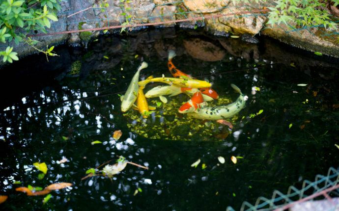 湯の山温泉　旅館　リョカン　りょかん　HOTEL　ホテル　ほてる　金花水月　ゆやおんせん　きんのはなすいげつ　ユヤオンセン　キンハナスイゲツ　山奥　旅館　穴場　静か　オーナー　粋　素敵　ステキ　唯一無二　個性　優しさ　おもてなし　気使い
三重県三重郡菰野町湯の山温泉8562　超絶素敵　コスパ最強　リラックス　癒し
（株）富屋酒店　愛知県名古屋市瑞穂区上坂町1-41-2　地酒屋　専門店　ライカM11　ズミルックス50　レンズ　代表　上田豊二　きき酒師　焼酎アドバイザー　
シャンパーニュシュヴァリエ　堀田駅　熱田神宮駅
