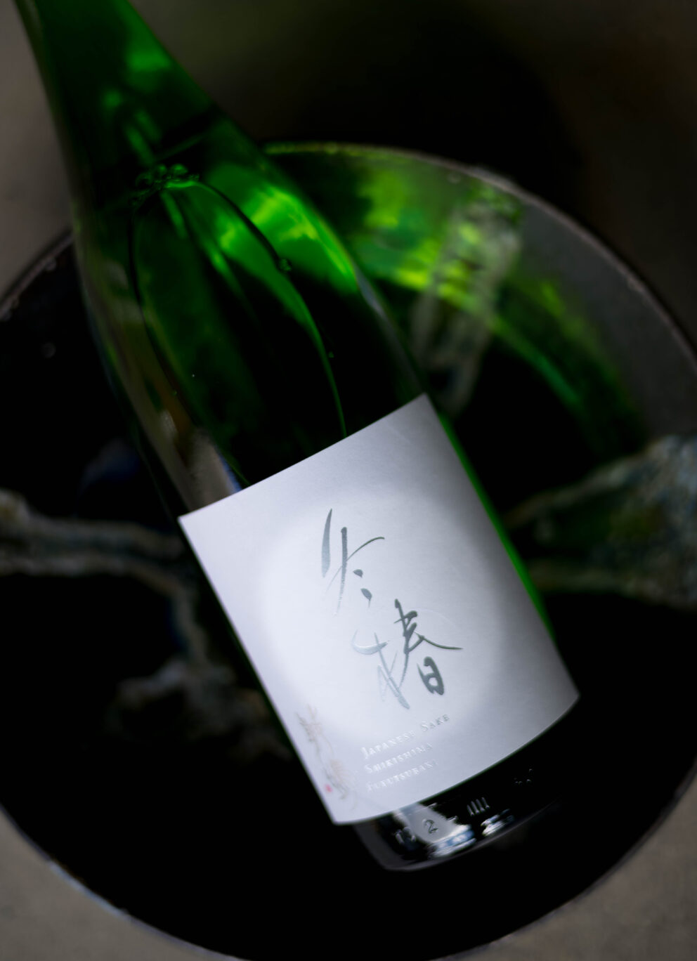 美しき冬の椿のようにおしとやかで凛とした味わい 「敷嶋  SHIKISHIMA  純米  ＜冬椿  HUYUTUBAKI＞  R6BY」入荷