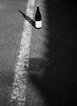 スレンダーで凛とした表情が美しきお料理を誘う 「澤屋まつもと SAWAYA MATUMOTO 守破離 <五百万石 GOHIYAKUMANGOKU> 生酒 R5BY」ご予約開始いたします