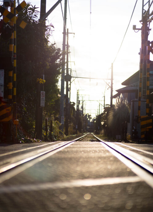 28日（日）お休みとなります