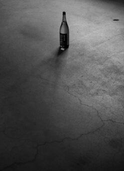 厳寒に醸す 渾身の生酒のフレッシュさを存分に味わう 「豊盃  HOUHAI   純米吟醸   ＜豊盃米55  WINTER＞  R5BY」ご予約開始いたします