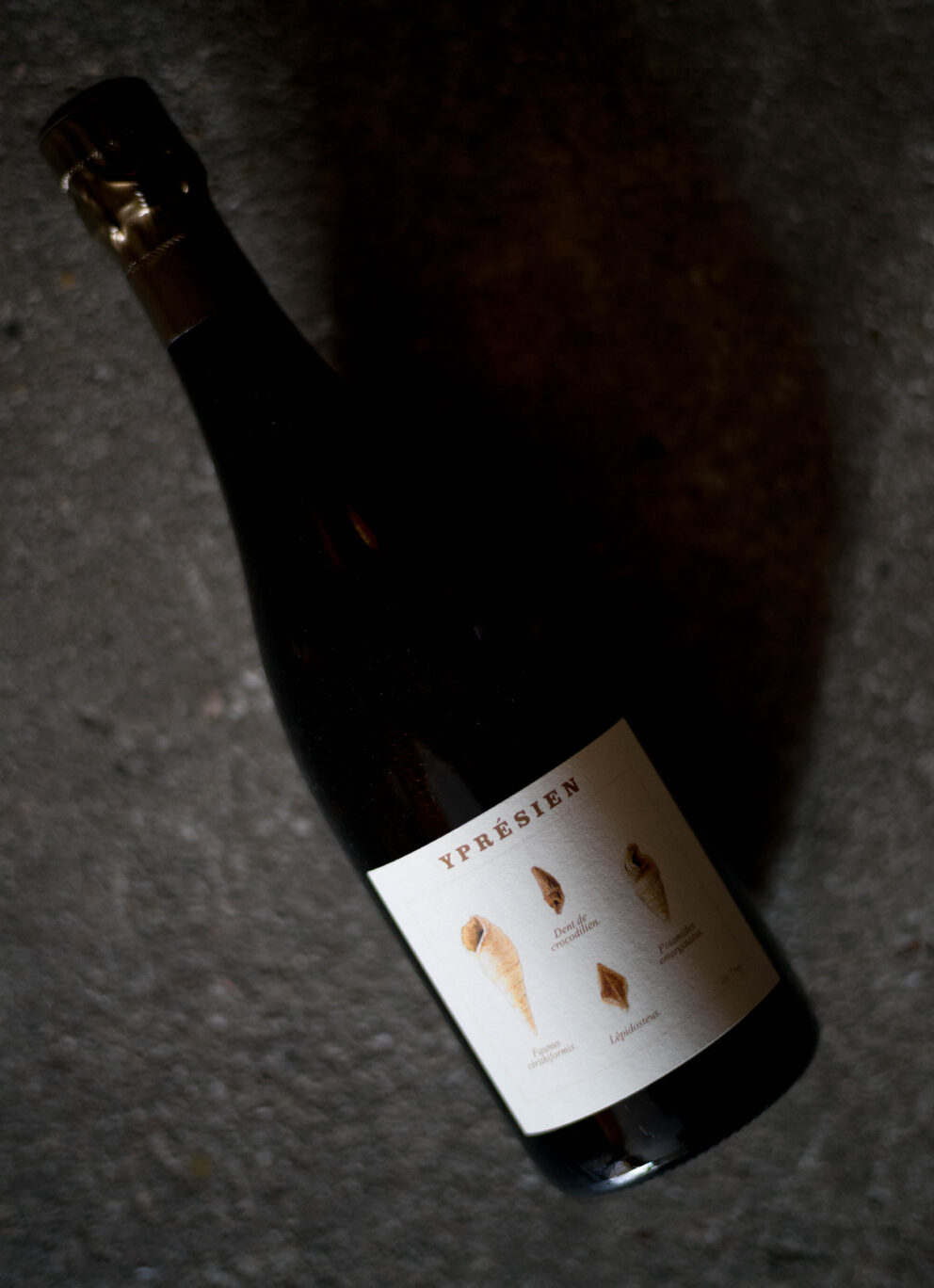 CHAMPAGNE LEGRAND LATOUR(シャンパーニュ  ルグラン・ラトゥール）BRUT NATURE（ブリュツト・ナチュール）YPRÉSIEN（イプレジアン）2020（2020ヴィンテージ）