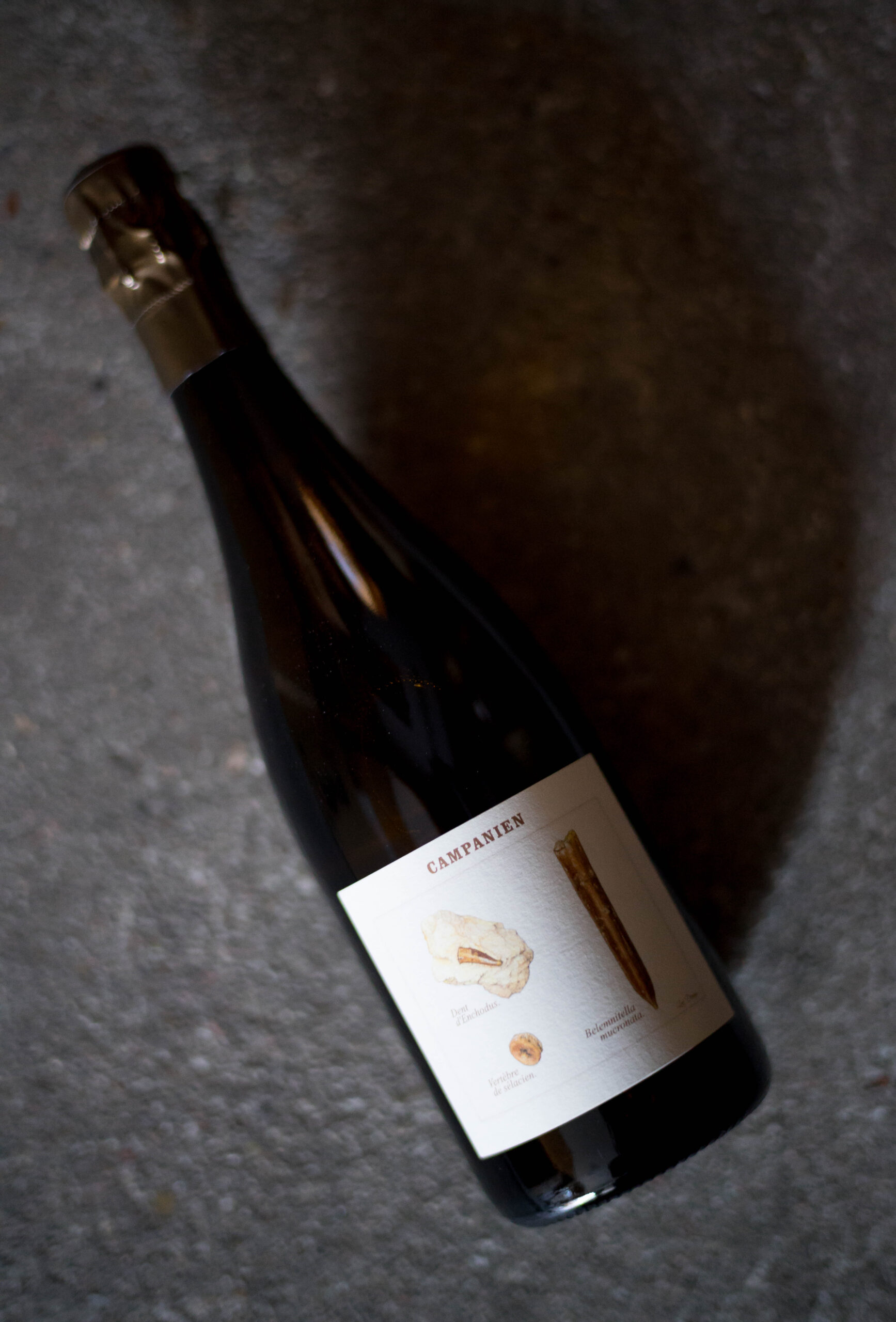 CHAMPAGNE LEGRAND LATOUR(シャンパーニュ ルグラン・ラトゥール CHAMPAGNE LEGRAND LATOUR(シャンパーニュ ルグラン・ラトゥール