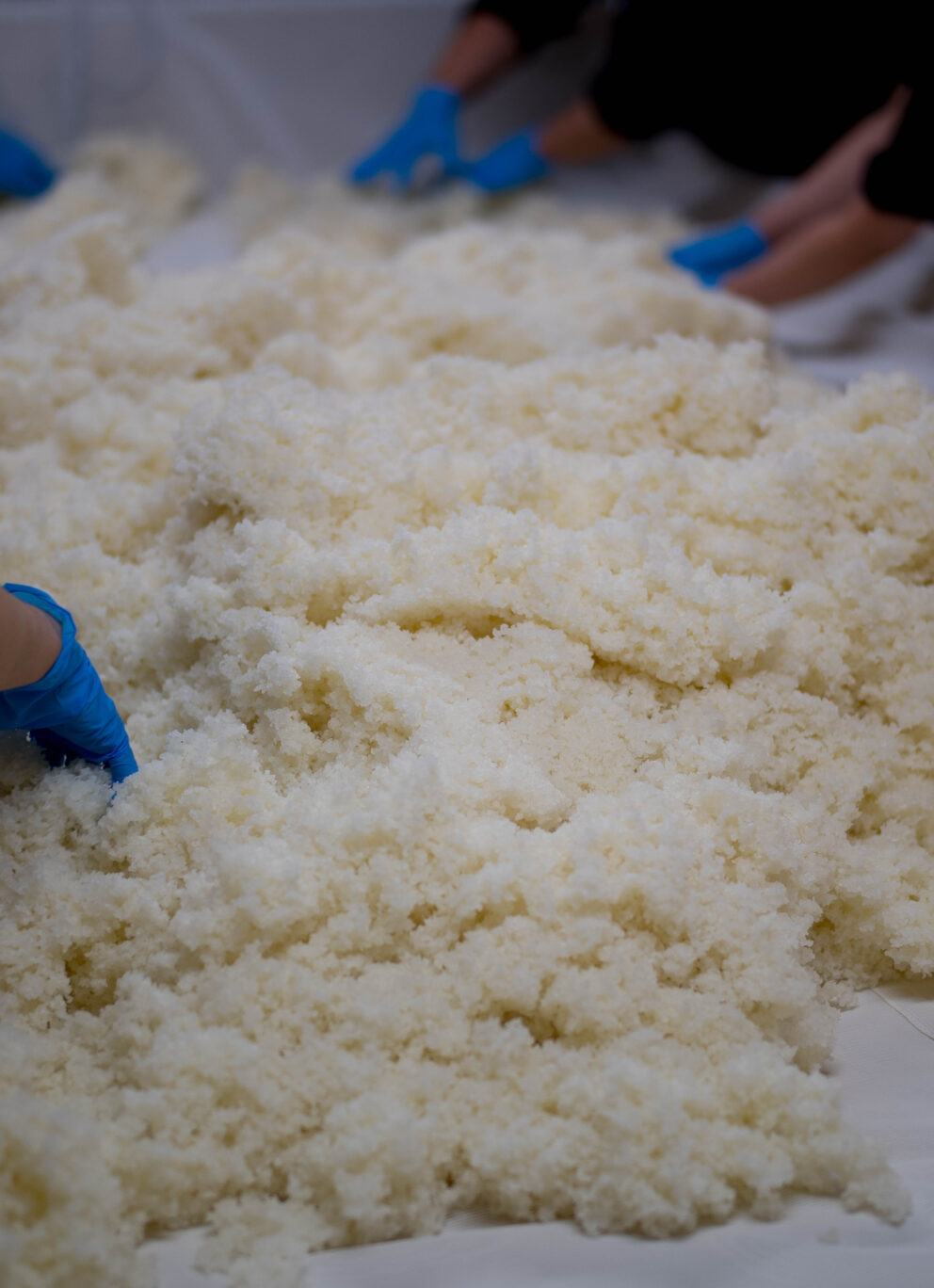 「大那」菊の里酒造＆「旭興」渡邉酒造  ＜TOCHIGI TOUR  2026＞