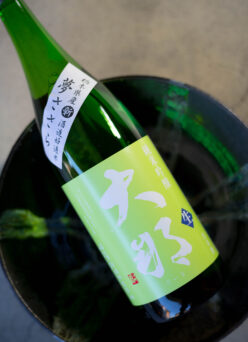 ナチュラルグリーンの爽やかなラベルが物語る  春の陽気な空気感そのもの「大那　DAINA  純米吟醸  ＜夢ささら  YUMESASARA＞　無濾過生酒　R7BY」