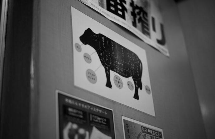 焼肉 串かつ どて 馬刺  串やき  とよ  愛知県名古屋市千種区光が丘1-4-5　店長オススメ盛り合わせ  タン　ランプ　みの  シャトーブリアン  キリンラガー大瓶  ピビンバ  激ウマ  スーパーコスパ  1971年創業  地元で愛される老舗  名店   予約必須 
（株）富屋酒店 かぶしきがいしゃ とみやさけてん カブシキガイシャ　トミヤサケテン TOMIYA SAKETEN 　愛知県名古屋市瑞穂区上坂町1-41-2　地酒屋　豊盃　HOUHAI ほうはい　ホーハイ　三浦酒造  MIURASHUZO日高見　ひたかみ　ヒタカミ HITAKAMI  平孝酒造　HIRAKOSHUZO 天の戸 アマノト　あまのと　AMANOTO　浅舞酒造 ASAMAISHUZO　飛露喜 HIROKISHUZOHONTEN　廣木酒造本店　HIROK　大那 DAINA　ダイナ　だいな　菊の里酒造　KIKUNOSATOSHUZO　旭興　KYOKUKO　きょくこう　キョクコウ　渡邉酒造　WATANABESHUZO　仙禽 SENKIN　せんきん　センキン（株）せんきん SENKIN鶴齢　カクレイ　かくれい KAKUREI　青木酒造　AOKISHUZO謙信 ケンシン　けんしん KENSHIN池田屋酒造 IKEDAYASHUZO 白岳仙 HAKUGAKUSEN　ハクガクセン　はくがくせん　安本酒造 YASUMOTOSHUZO 群馬泉 グンマイズミ　ぐんまいずみ 島岡酒造 SHIMAOKASHUZO  喜久醉 きくよい キクヨイKIKUYOI 青島酒造 AOSHIMASHUZO 長珍 ちょうちん　チョウチン長珍酒造CHOCHINSHUZO　みねたからみりん　峯寳 味醂　一子相伝 ミネタカラ　いっしそうでん　イッシソウデン　小笠原味醂 OGASAWARA MIRIN

瀧自慢　たきじまん　タキジマン　瀧自慢酒造　TAKIZIMANSHUZO　田光　TABIKA 早川酒造  HAYAKAWASHUZO　作　ZAKU ざく ザク 清水清三郎商店 SHIMIZUSEIZABUROSHOTEN  篠峯　櫛羅　しのみね　シノミネ　くじら　クジラ　千代酒造　CHIYOSHUZO　雑賀　さいか　サイカ　九重雑賀  KOKONOESAIKA　紀土　鶴梅　無量山　きっど　キッド　KID 　ツルウメ　つるうめ　TURUUME　ムリョウザン　むりょうざん　MURYOZAN　平和酒造　HEIWASHUZO　蒼空　そうくう　ソウクウ　SÔKÛ　藤岡酒造　HUJIOKASHUZO 　宝剣　HOUKEN  宝剣酒造　ほうけんしゅぞう　ホウケンシュゾウ　HOKENSHUZO　清酒竹鶴　小笹屋竹鶴　せいしゅたけつる　セイシュタケツル　おささやたけつる　オササヤタケツル　竹鶴酒造　TAKETURUSHUZO
石鎚　いしづち　イシヅチ　石鎚酒造　ISHIDUCHISHUZO　土佐しらぎく　とさしらぎく　トサシラギク　仙頭酒造場　せんとうしゅぞうじょう　SENDOSHUZOZYO　アルガブランカ　ARUGABURANKA勝沼醸造　KATUNUMAJÔZÔ　ドメーヌソガ　ソガ・ペール・エ・フィス SOGA PELE ET FIS　オブセワイナリー　OBUSEWINERY　ドメーヌタカヒコ　DOMAINE TAKAHIKO　クリサワブラン　KURISAWA BLANC　ナカザワワイナリー　NAKAZAWA WINERY　さつま寿　SATUMA KOTOBUKI 　尾込商店 OGOME SHOTEN  蔵の師魂 KURANOSHIKON  小正醸造　KOMASA ＪÔＺÔ　天狗櫻 TENGUSAKURA  白石酒蔵　SHIRAISHISHUZO  しま千両 SHIMASENRYO　高崎酒蔵  TAKASAKISHUZO  杜氏潤平　TOJIJUNPEI  小玉醸造  KODAMAJOZO  赤鹿毛　青鹿毛  AKAKAGE   AOKAGE　柳田酒蔵  YANAGIDASHUZO　舞香　MAIKA　泰明　TAIMEI　藤居醸造　HUZIIJÔＺÔ　池の露　特酎天草　IKENOTUYU  TOKUCHU  AMAKUSA　壱乃醸　飛乃流　朝日　ICHINOJO  HINORYU　ASAHI　朝日酒造　ASAHISHUZO　龍宮　RYUGU 富田酒造場　TOMITASHUZOJO　鳥飼 TORIKAI　鳥飼酒造　TORIKAISHUZO　極楽 GOIKURAKU　林酒造場 HAYASHISHUZOJO　屋久の島大自然林　酔麦香　YAKUNOSHIMA DAISHIZENRIN SUIBASKUKA　本坊酒造　HONBOSHUZO
金峰　金峰荒蘆過  KINPO　KINPOARAROKA　宇都酒造　UTOSHUZO　北谷長老　CHYATANCHÔＲÔ　北谷酒造　CHYATANSHUZO　山原くいな　YAMBARUKUINA　やんばる酒造　YAMBARUSHUZO　2024年春オープン予定 いいねタウン瑞穂 iiNE マルシェ内　グランクレア瑞穂 いいねタウン瑞穂  愛知県名古屋市瑞穂区宝田町四丁目2番、3番2　春敲町三丁目23番1（地番） 魚太郎　UOTARO MIZUHO うおたろう　ウオタロウ　なごやみずほてん　ナゴヤミズホテン　 名古屋瑞穂店  車で1分　徒歩5分　丸明 瑞穂店  MARUAKI MIZUHO　マルアキ ミズホテン　まるあき みずほてん　 徒歩10分　車3分　焼肉 美奈登  ヤキニクミナト　やきにくみなと YAKINIKU MINATO 車で2分　徒歩10分  どての品川　DOTENO SHINAGAWA　ドテノシナガワ　どてのしながわ　車で30秒　徒歩1分昇福亭　SHOHUKUTEI しょうふくてい　ショウフクテイ 街中華　マニア　大盛り　個性派  車で5分　徒歩15分  名店 近くにたくさんあり　堀田バンザイ　牛巻バンザイ　名古屋のへそ

