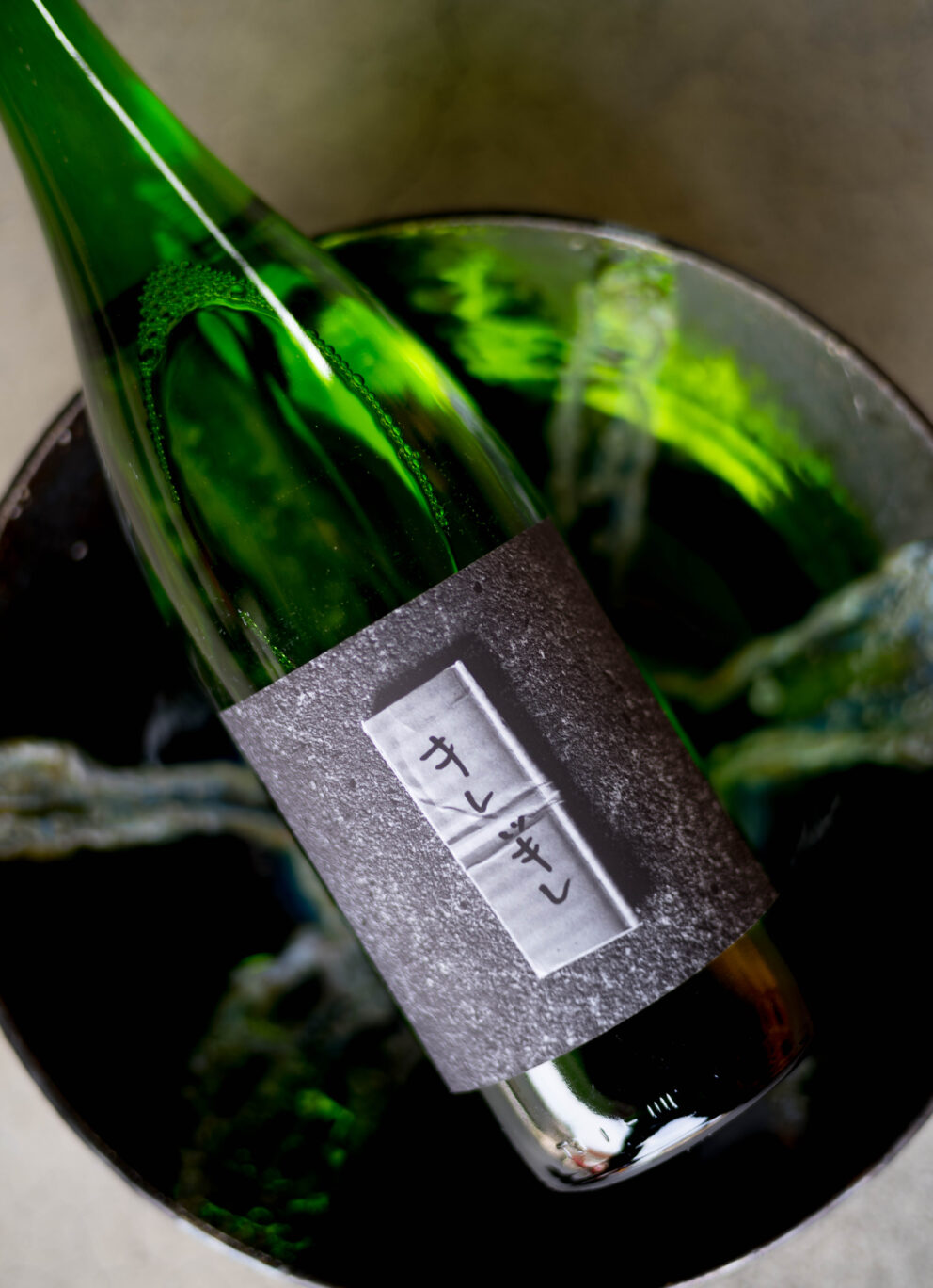 シュールさとウマさのギャップが作品として引き立つ【TOMIYA  SPECIAL SPECIAL SPECIAL  MODEL】「大那　DAINA　＜キレッキレ　KIREKKIRE＞　2024」入荷