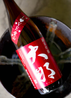 極上の艶感と大自然が育む仕込み水とが融合した最高の心地よさを 「大那   DAINA　純米吟醸   ＜東条産 愛山 TOJO AIYAMA＞  R5BY」【SOLD OUT】