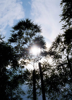 10日（日）お休みとなります