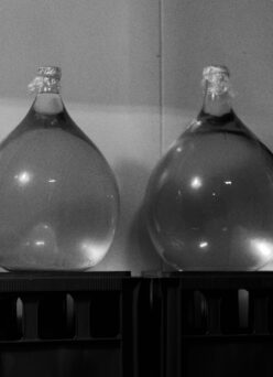 15日(日)お休みとなります