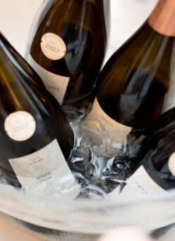 CHAMPAGNE TASTING