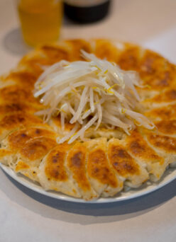 HAMAMATSU GYOZA