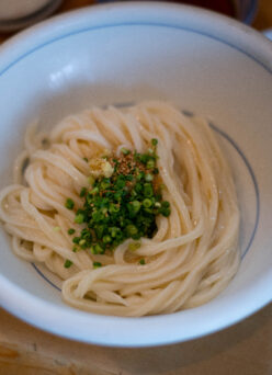 UDON