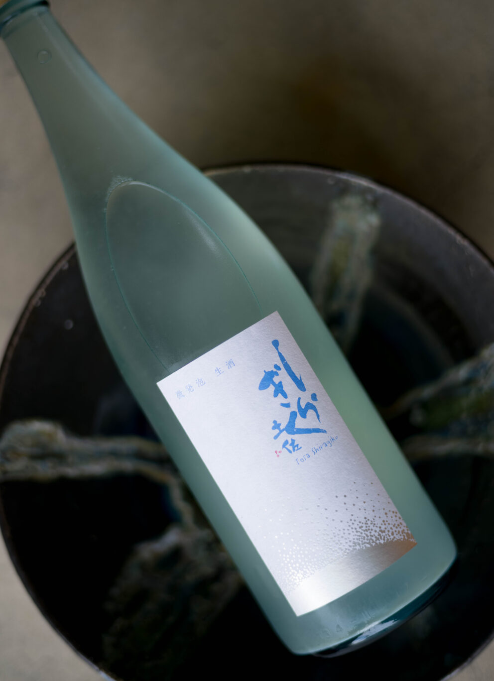 超絶爽やかな味わいが口いっぱいひろがる夏のニンキモノ  「土佐しらぎく　TOSASHIRAGIKU　純米吟醸　＜微発泡生酒　SLIGHTLY SPARKLING＞　R6BY」入荷