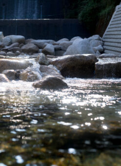 CLEAR STREAM