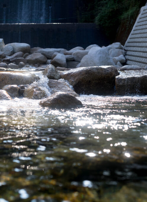 CLEAR STREAM