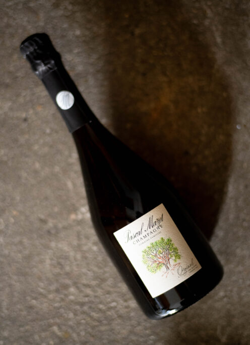 CHAMPAGNE PASCAL MAZET（シャンパーニュ パスカル・マゼ）BRUT ORIGINELPREMIER（ブリュット オリジネル）PREMIER CRU（プルミエ・クリュ）