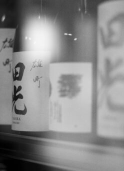 優しく  豊かに  秋の夜長の癒しの純米  「田光  TABIKA  槽搾り ＜豊穣  HOUJOH   富屋完熟バージョン＞  2025」ご予約開始いたします