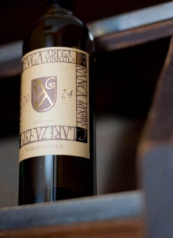 「ARUGA BLANCA （アルガブランカ）CLAREZA（クラレーザ）2024（2024ヴィンテージ）」