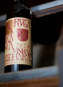 「ARUGA BLANCA （アルガブランカ）ISSEHARA（イセハラ）2024（2024ヴィンテージ）」