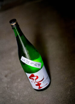 フレッシュで爽やかな味わいが心地よく駆け抜ける 「紀土　KID　純米吟醸　＜しぼりたて  FRESH SAKE＞　R7BY」入荷