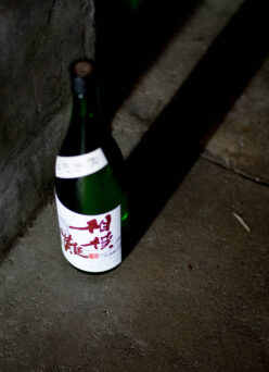 美しき秋のお料理をキッチリ締めてくれるアキアガリ  「相模灘　SAGAMINADA　＜富屋完熟  秋あがり　AKIAGARI＞　2025」