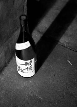 美しき秋のお料理をキッチリ締めてくれるアキアガリ  「相模灘　SAGAMINADA　＜富屋完熟  秋あがり　AKIAGARI＞　2025」【SOLD OUT】