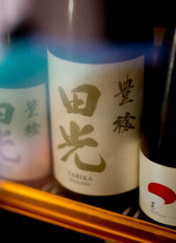 優しく  豊かに 秋の夜長の癒しの純米  「田光  TABIKA  槽搾り  ＜豊穣  HOUJOH＞　2025」