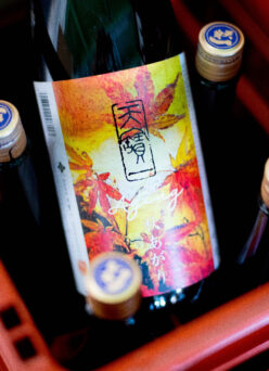 柔らかで膨らみのある旨味とキレ感がまさに秋のお料理を呼び寄せる  「天寶一　TENPOICHI　純米吟醸　＜富屋完熟  秋あがり AGING＞　2025」