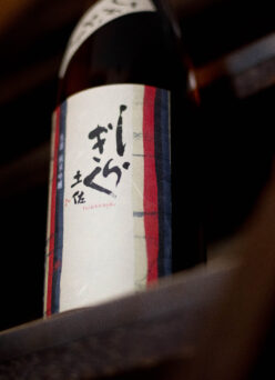 シルキーで優しく上品な旨味  まさに美しき秋の訪れにぴったりなイメージ  「土佐しらぎく　TOSASHIRAGIKU　純米吟醸　＜吟の夢　GINNOYUME＞　富屋完熟 ひやおろし　2025」