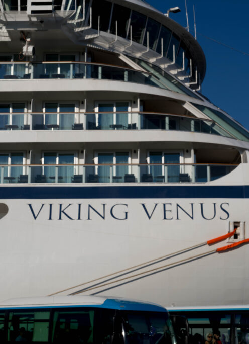 VIKING VENUS