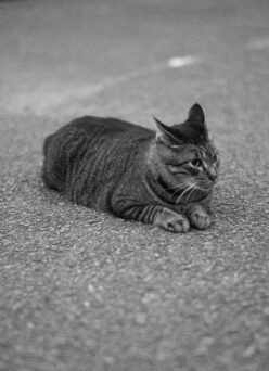 19日（日）お休みとなります