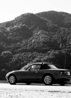 15日（日）お休みとなります