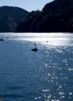 明けましておめでとうござます