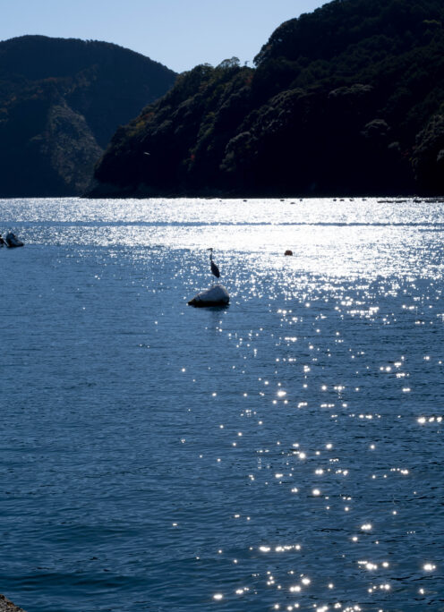 明けましておめでとうござます