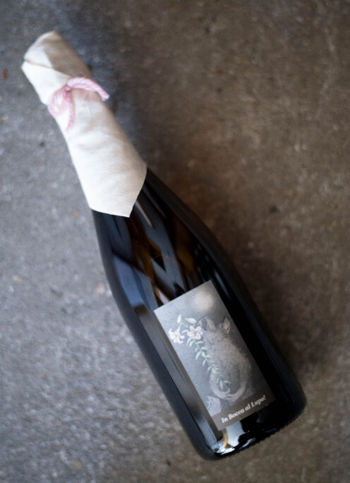 「AZUCCA E AZUCCO (アズッカ・エ・アズッコ）『赤ずきんの本音』赤 ランブルスコ   スパークリングワイン  2024 」