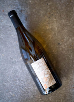 「AZUCCA E AZUCCO (アズッカ・エ・アズッコ）『Night Market Tour』（夜のマーケット・ツアー）白  2024」【SOLD OUT】