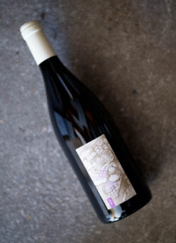 「AZUCCA E AZUCCO (アズッカ・エ・アズッコ）『Night Market Tour』（夜のマーケット・ツアー）赤  2024」【SOLD OUT】